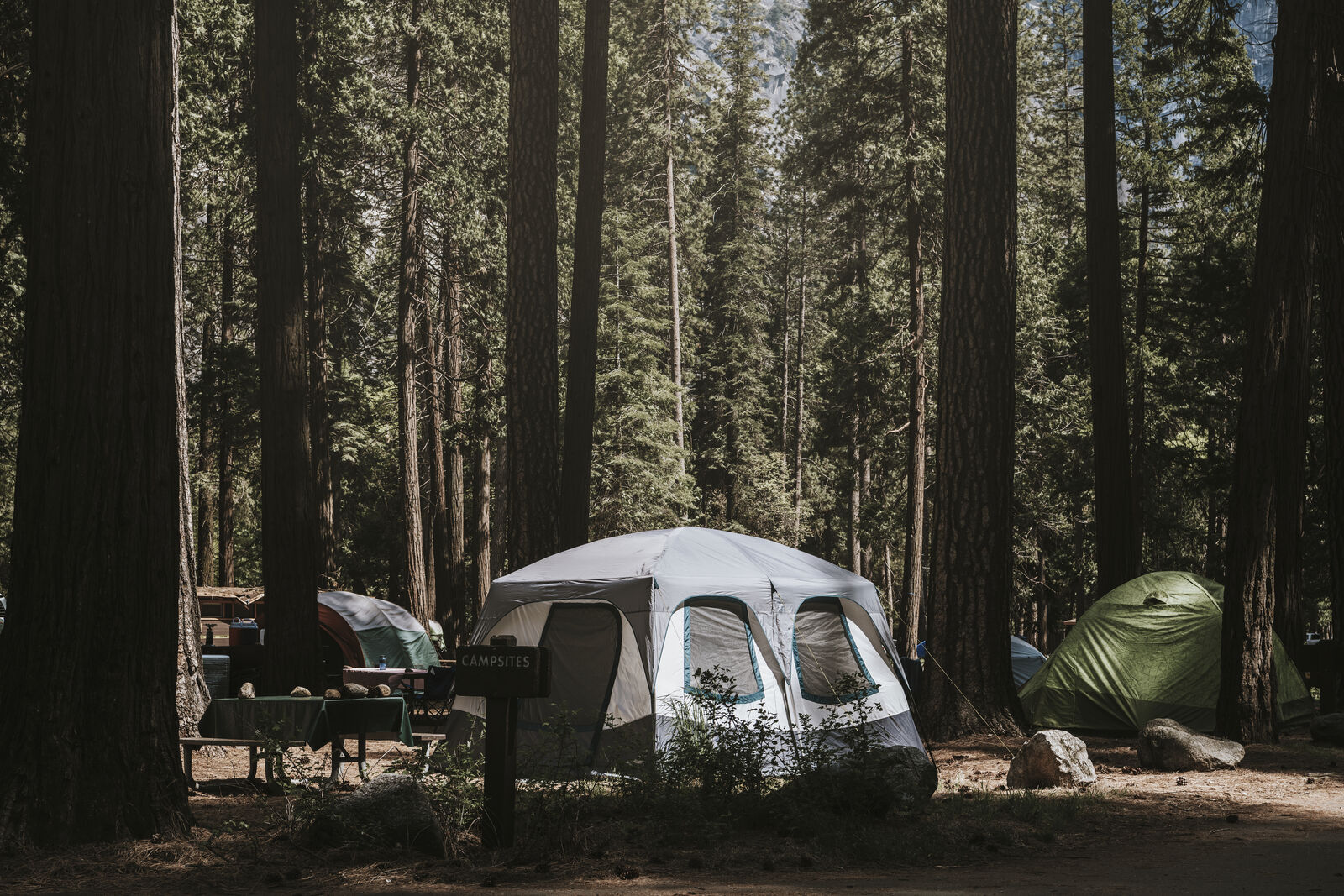 Wooded tent campsite with picnic table