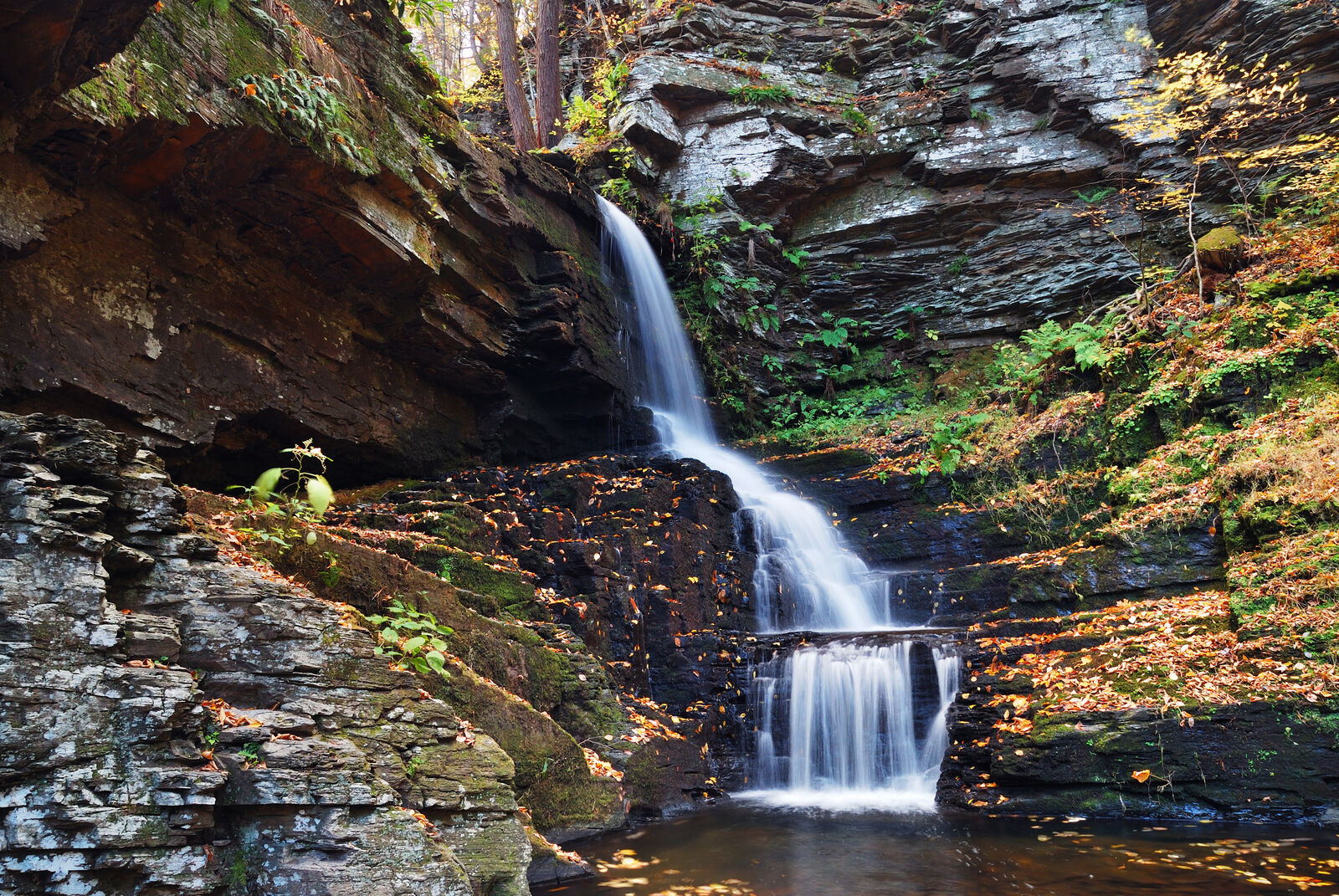 Shale gorge waterfall in autumn, typical of Western New York parks